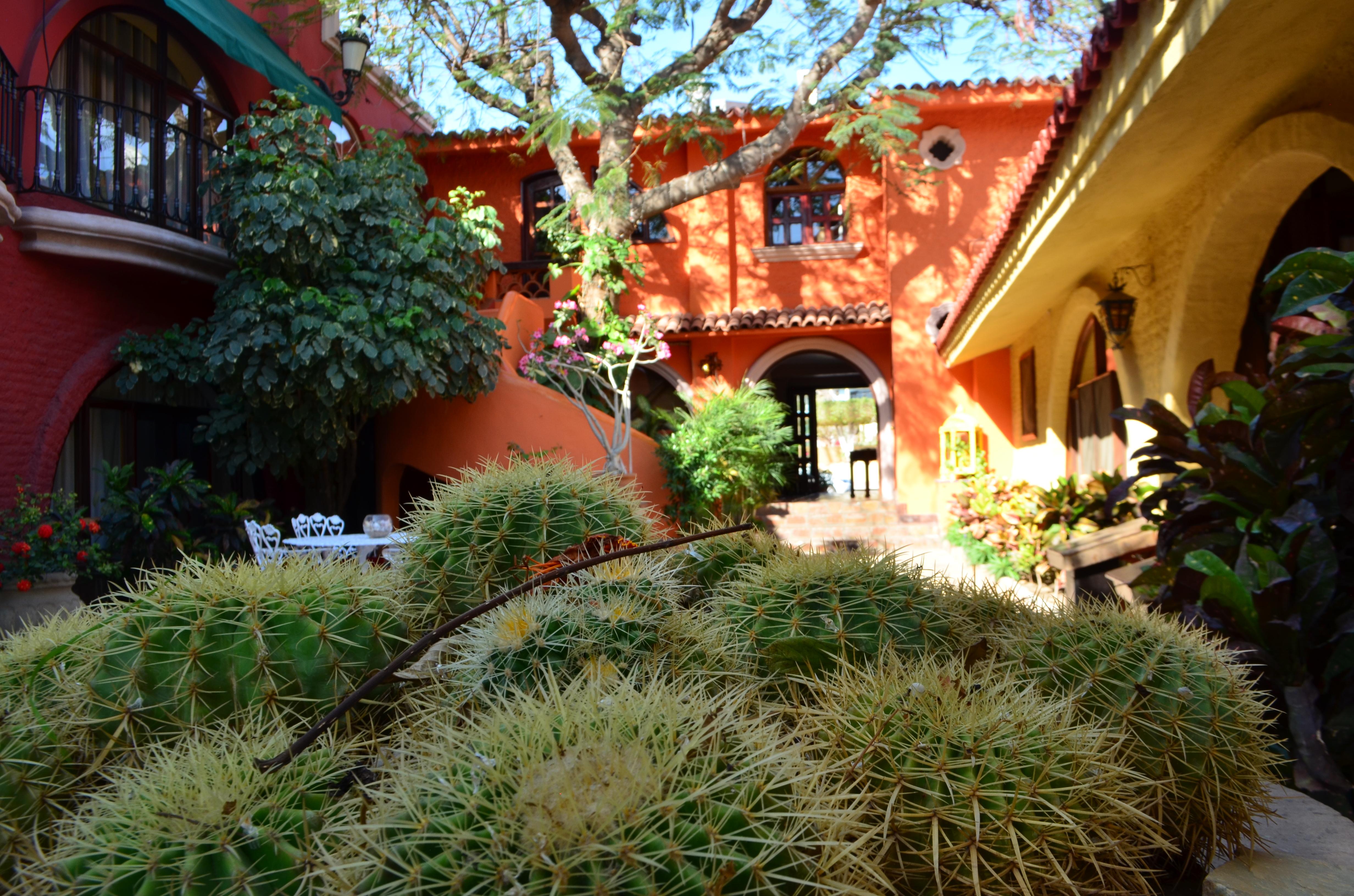 Collection O Casa Bella Hotel Boutique, Кабо-Сан-Лукас Экстерьер фото